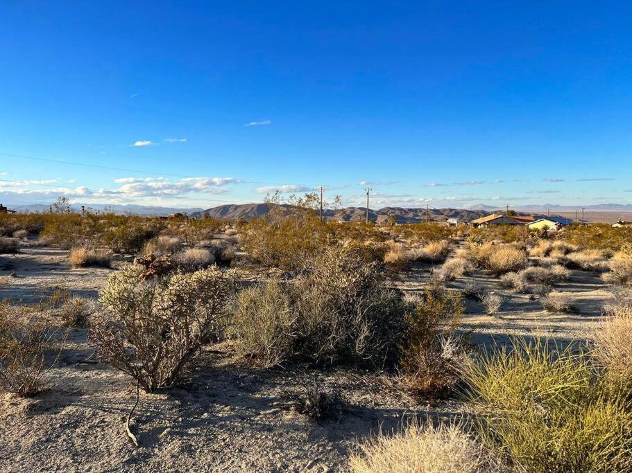 Joshua Tree National Park - Cozy Palms Getaway Διαμέρισμα Twentynine Palms Εξωτερικό φωτογραφία